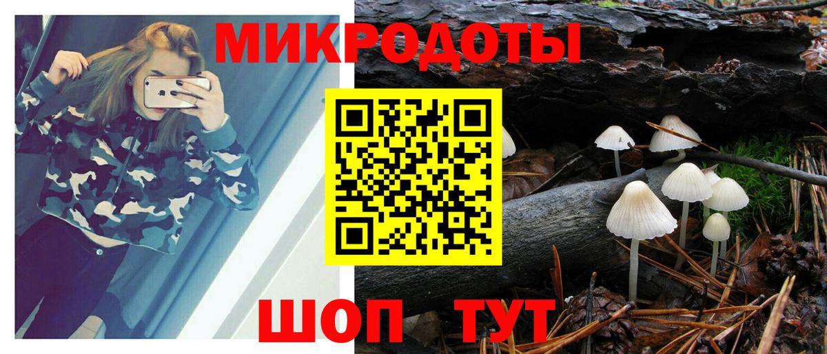 хочу   Галлюциногенные грибы Cubensis  Вход с VPN  Чапаевск 